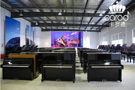 熱烈慶?？_德鋼琴經(jīng)銷(xiāo)商考察交流會(huì)在上海成功舉行 技術(shù)服務(wù)賦能行業(yè)未來(lái)